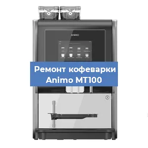 Замена фильтра на кофемашине Animo MT100 в Краснодаре